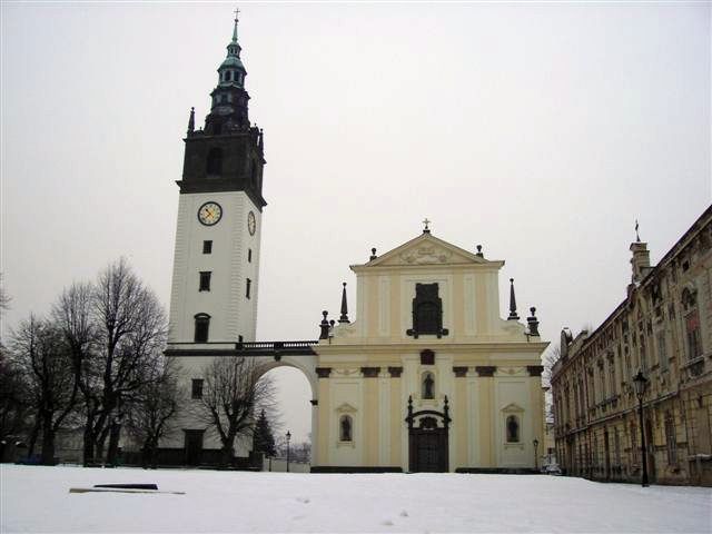 Oprava fasády, soch a kamenických prvků Dóm Litoměřice v roce 2005